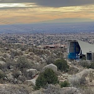 Meet your Posher, Allie